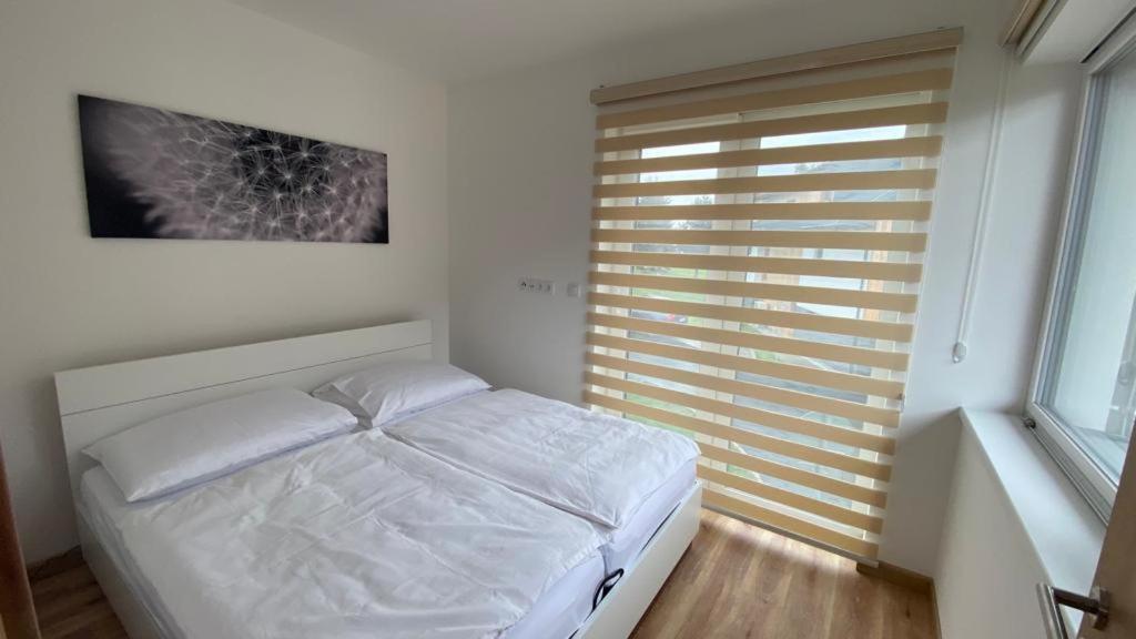 Apartmany - Male Lipno Černá v Pošumaví Extérieur photo