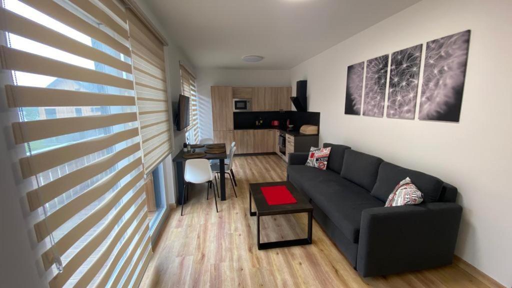Apartmany - Male Lipno Černá v Pošumaví Extérieur photo