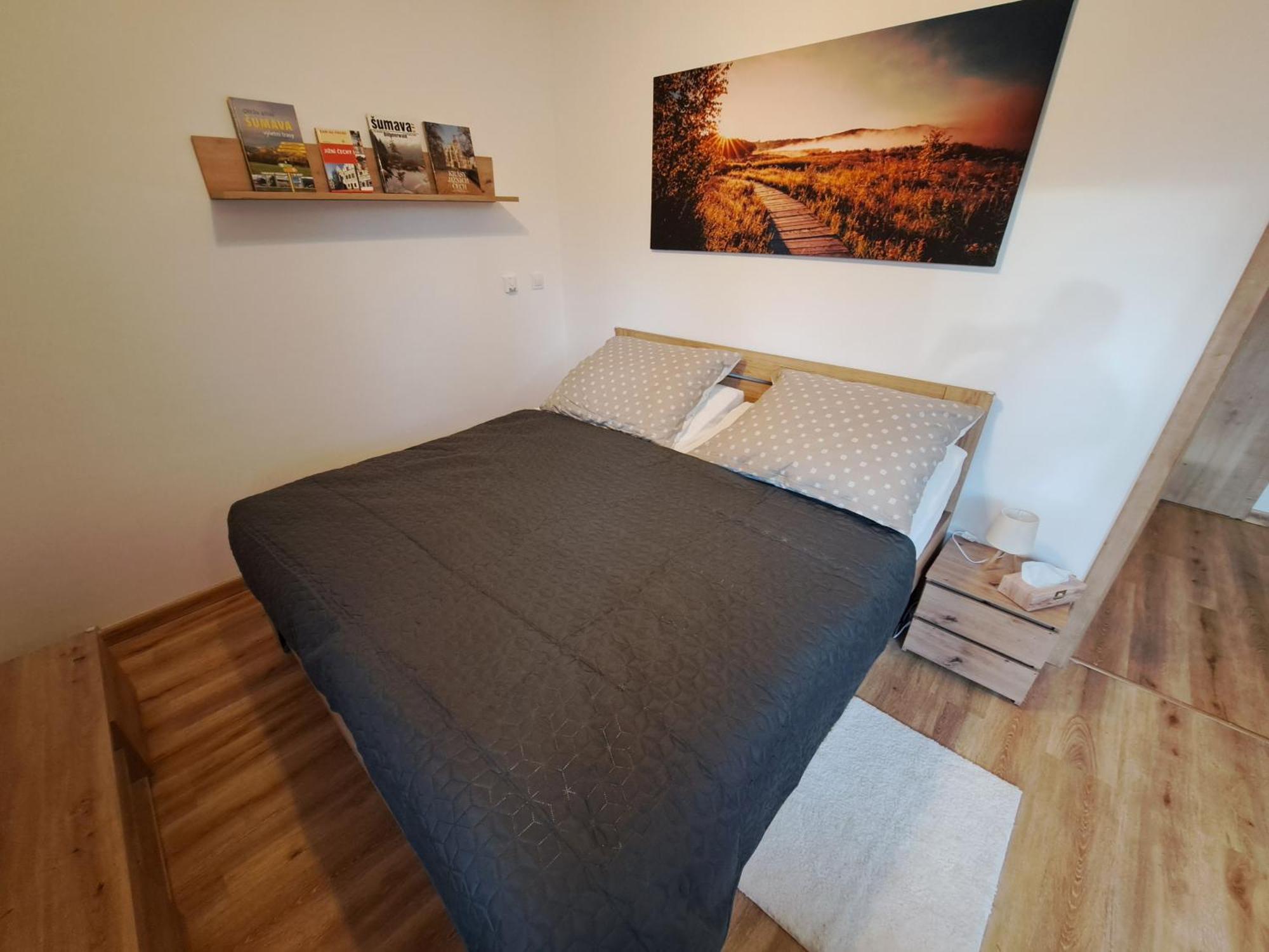Apartmany - Male Lipno Černá v Pošumaví Chambre photo